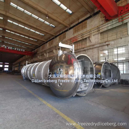 Commercial Industrial Vacuum Freeze Dryer